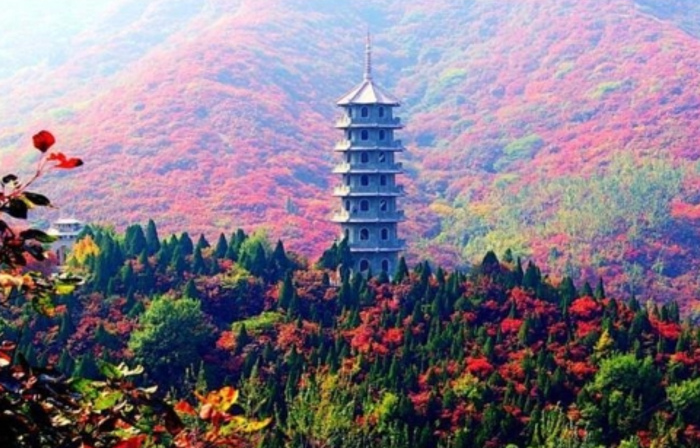 1分钱没花,把1000家工厂归为己有