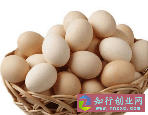鸡蛋生意怎么做?