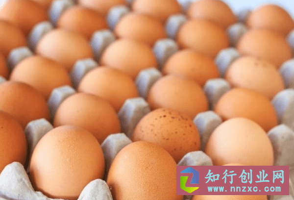 冲卡送鸡蛋