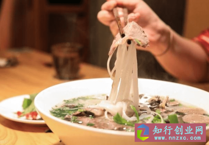 活动方案