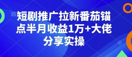 短剧推广拉新番茄锚点半月收益1万+大佬分享实操-低成本创业项目大全｜短视频带货+AI副业变现｜知行创业网