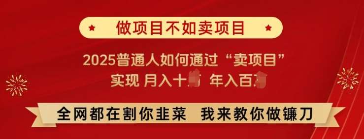必看!做项目不如卖项目，2025普通人如何通过“卖项目”实现月入十个，年入百个【揭秘】-低成本创业项目大全｜短视频带货+AI副业变现｜知行创业网