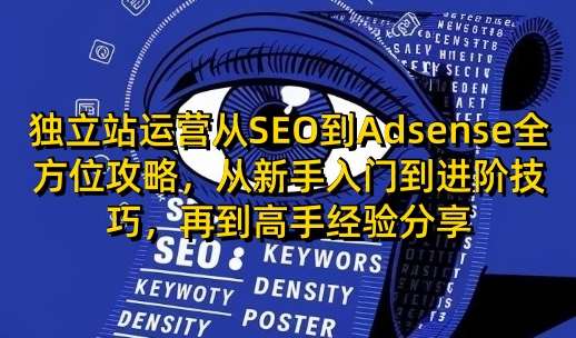 独立站运营从SEO到Adsense全方位攻略，从新手入门到进阶技巧，再到高手经验分享-低成本创业项目大全｜短视频带货+AI副业变现｜知行创业网