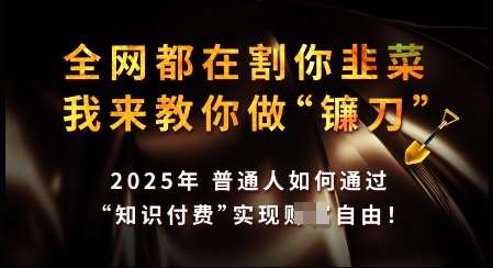 知识付费如何做到月入过W+，2025我来教你做“镰刀”【揭秘】-低成本创业项目大全｜短视频带货+AI副业变现｜知行创业网