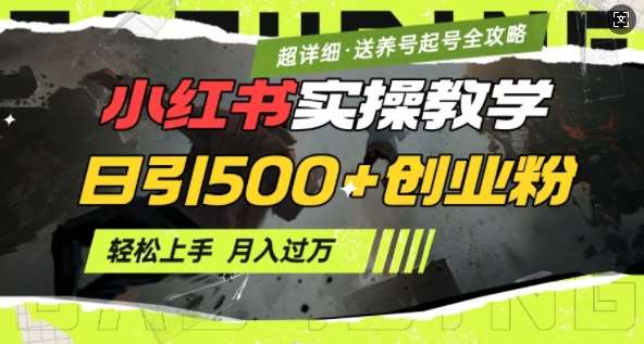 2月小红书最新日引500+创业粉实操教学【超详细】小白轻松上手，月入1W+，附小红书养号起号SOP-低成本创业项目大全｜短视频带货+AI副业变现｜知行创业网