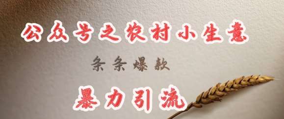 deepseek写农村小项目，条条爆款，暴力引流-低成本创业项目大全｜短视频带货+AI副业变现｜知行创业网