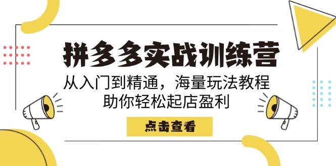 （14392期）拼多多实战训练营，从入门到精通，海量玩法教程，助你轻松起店盈利-低成本创业项目大全｜短视频带货+AI副业变现｜知行创业网