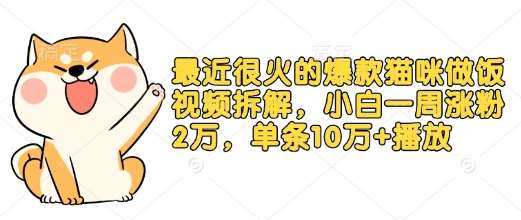 最近很火的爆款猫咪做饭视频拆解，小白一周涨粉2万，单条10万+播放(附保姆级教程)-低成本创业项目大全｜短视频带货+AI副业变现｜知行创业网