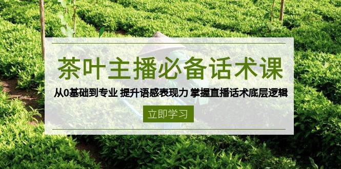 （13961期）茶叶 主播必备话术课 从0基础到专业 提升语感表现力 掌握直播话术底层逻辑-低成本创业项目大全｜短视频带货+AI副业变现｜知行创业网