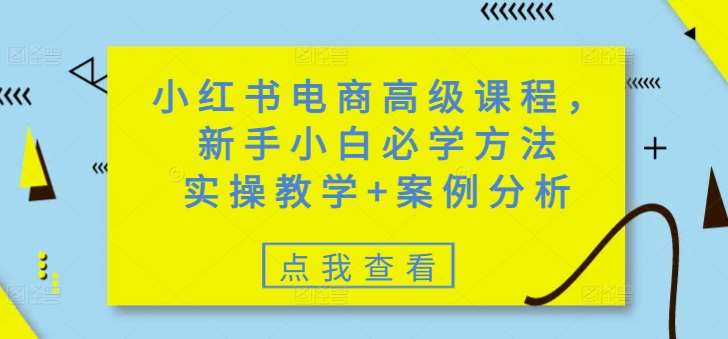 小红书电商高级课程，新手小白必学方法，实操教学+案例分析-低成本创业项目大全｜短视频带货+AI副业变现｜知行创业网