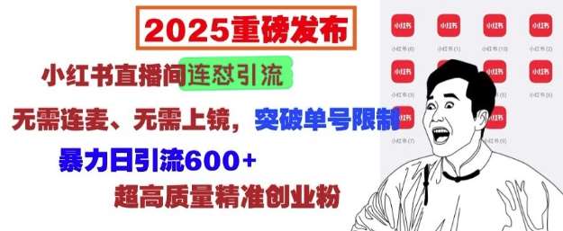 2025重磅发布：小红书直播间连怼引流，无需连麦、无需上镜，突破单号限制，暴力日引流600+-低成本创业项目大全｜短视频带货+AI副业变现｜知行创业网