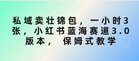 私域卖壮锦包，一小时3张，小红书蓝海赛道3.0版本， 保姆式教学-低成本创业项目大全｜短视频带货+AI副业变现｜知行创业网