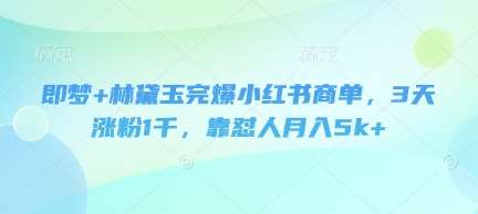 即梦+林黛玉完爆小红书商单，3天涨粉1千，靠怼人月入5k+-低成本创业项目大全｜短视频带货+AI副业变现｜知行创业网