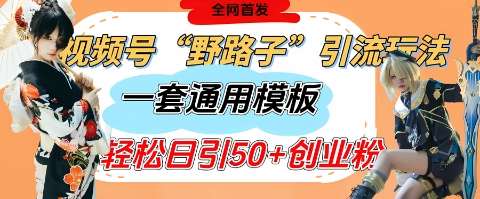 视频号“野路子”玩法，评论区疯狂截流，一套模板单日单号引流50+创业粉-低成本创业项目大全｜短视频带货+AI副业变现｜知行创业网