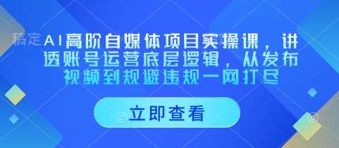 AI高阶自媒体项目实操课，讲透账号运营底层逻辑，从发布视频到规避违规一网打尽-低成本创业项目大全｜短视频带货+AI副业变现｜知行创业网