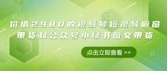 价值2980的视频号短视频橱窗带货和公众号小绿书图文带货-低成本创业项目大全｜短视频带货+AI副业变现｜知行创业网