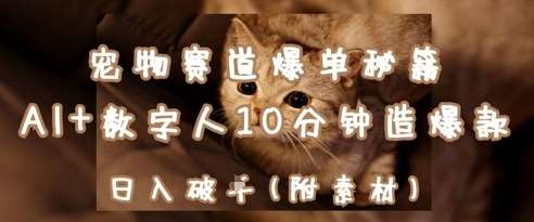 宠物赛道爆单秘籍：AI+数字人10分钟造爆款，日入1k-低成本创业项目大全｜短视频带货+AI副业变现｜知行创业网