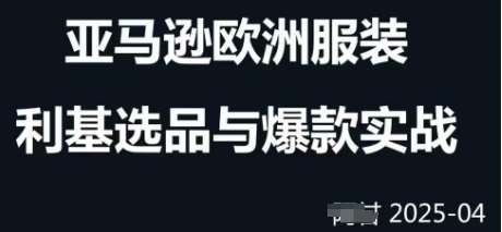 跨境电商选品案例24-25年，聚焦跨境电商选品策略与运营优化，助力卖家挖掘蓝海市场-低成本创业项目大全｜短视频带货+AI副业变现｜知行创业网