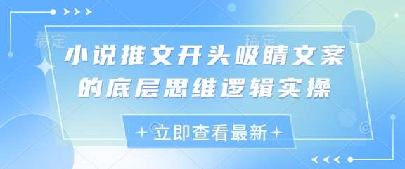 小说推文开头吸睛文案的底层思维逻辑实操-低成本创业项目大全｜短视频带货+AI副业变现｜知行创业网