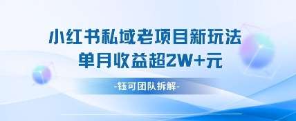 小红书私域项目新玩法，单月变现过W+-低成本创业项目大全｜短视频带货+AI副业变现｜知行创业网