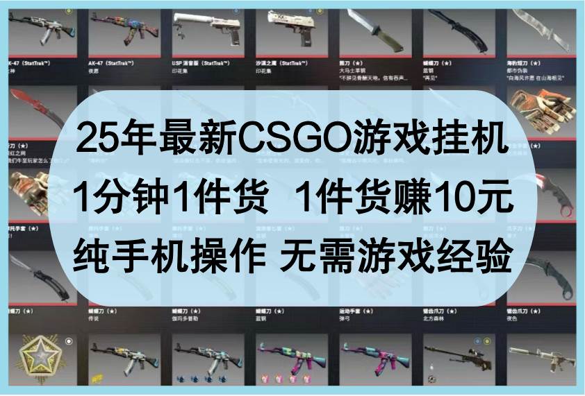 25年最新CSGO游戏挂机，1分钟1件货，1件货赚10元，纯手机操作，无需游戏经验-低成本创业项目大全｜短视频带货+AI副业变现｜知行创业网