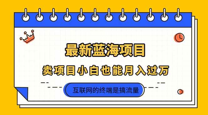 （14289期）2025年最新蓝海项目，卖项目小白也能月入过万-低成本创业项目大全｜短视频带货+AI副业变现｜知行创业网