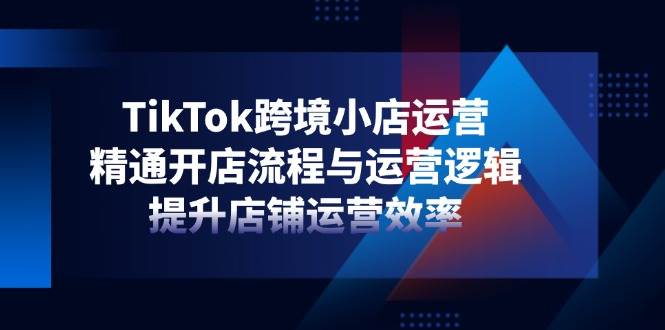 （14369期）TikTok跨境小店运营，精通开店流程与运营逻辑，提升店铺运营效率-低成本创业项目大全｜短视频带货+AI副业变现｜知行创业网