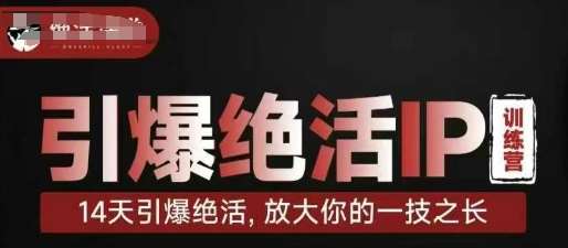 引爆绝活IP训练营，14天引爆绝活，放大你的一技之长-低成本创业项目大全｜短视频带货+AI副业变现｜知行创业网
