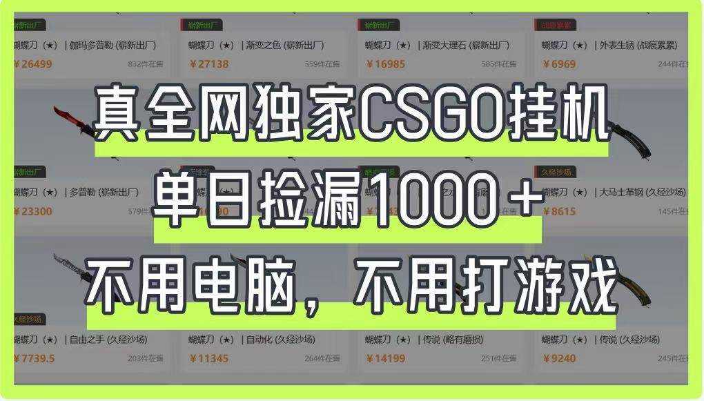 真全网独家CSGO挂机，单日捡漏1000+，不用电脑，不用养号-低成本创业项目大全｜短视频带货+AI副业变现｜知行创业网