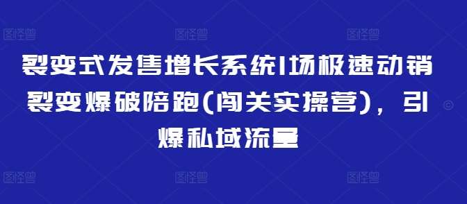裂变式发售增长系统1场极速动销裂变爆破陪跑(闯关实操营)，引爆私域流量-低成本创业项目大全｜短视频带货+AI副业变现｜知行创业网