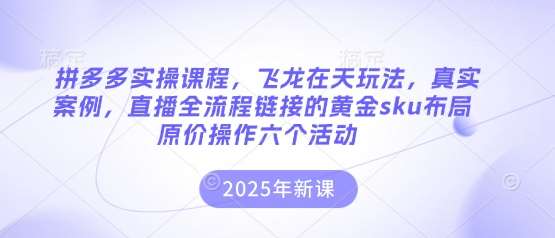 拼多多实操课程，飞龙在天玩法，真实案例，直播全流程链接的黄金sku布局原价操作六个活动-低成本创业项目大全｜短视频带货+AI副业变现｜知行创业网