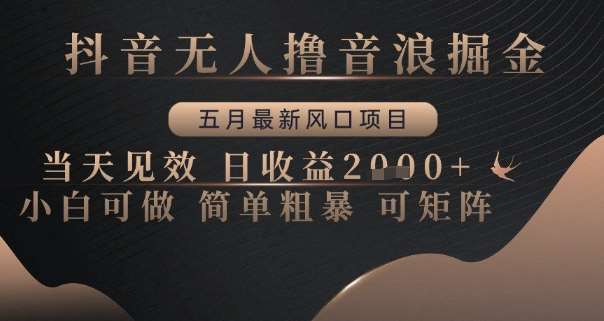 抖音无人撸音浪掘金，五月最新风口项目，当天见效，日收益多张，小白可做简单粗暴可矩阵【揭秘】-低成本创业项目大全｜短视频带货+AI副业变现｜知行创业网