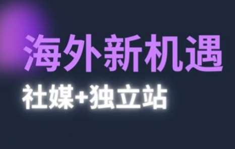 2025出海新机遇(社媒+独立站)，海外新机遇，实现独立站的高效运营与出海-低成本创业项目大全｜短视频带货+AI副业变现｜知行创业网