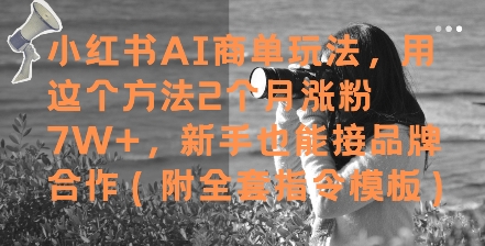 小红书AI商单玩法，用这个方法2个月涨粉7W+，新手也能接品牌合作(附全套指令模板)-低成本创业项目大全｜短视频带货+AI副业变现｜知行创业网