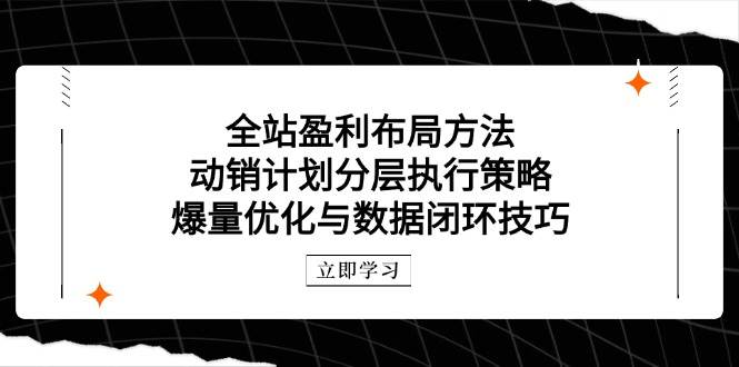 （14698期）全站盈利布局方法：动销计划分层执行策略，爆量优化与数据闭环技巧-低成本创业项目大全｜短视频带货+AI副业变现｜知行创业网