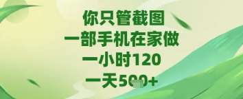 你只管截图，一部手机在家做，苹果安卓都可以，一天5张+【揭秘】-低成本创业项目大全｜短视频带货+AI副业变现｜知行创业网