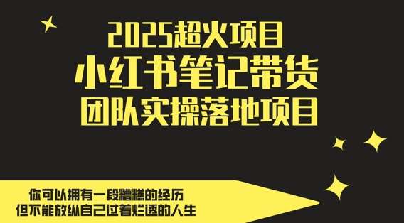 2025超火项目，副业最佳选择，小红书笔记带货团队实操落地项目，，轻松日入5张-低成本创业项目大全｜短视频带货+AI副业变现｜知行创业网