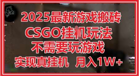 2025最新游戏搬砖，CSGO挂G，不需要玩游戏，实现真挂G，月入1W+【揭秘】-低成本创业项目大全｜短视频带货+AI副业变现｜知行创业网