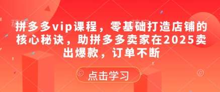 拼多多vip课程，零基础打造店铺的核心秘诀，助拼多多卖家在2025卖出爆款，订单不断-低成本创业项目大全｜短视频带货+AI副业变现｜知行创业网