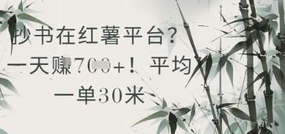 抄书在小红薯平台？平均一单30米，一天收益几张！-低成本创业项目大全｜短视频带货+AI副业变现｜知行创业网