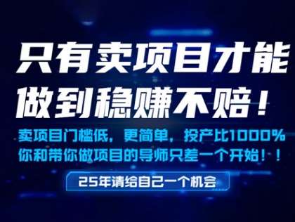 只有卖项目才能做到稳挣不赔，门槛低，更简单，你也可以年入百个W【揭秘】-低成本创业项目大全｜短视频带货+AI副业变现｜知行创业网