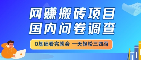 网创搬砖项目，国内问卷调查，小白轻松上手，一天三四张的也不难，干就完了【揭秘】-低成本创业项目大全｜短视频带货+AI副业变现｜知行创业网