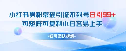 小红书男粉常规引流不封号日引99+变现简单 可矩阵可复制小白容易上手-低成本创业项目大全｜短视频带货+AI副业变现｜知行创业网