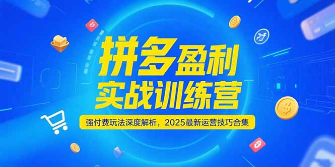 （15183期）拼多多盈利实战训练营，强付费玩法深度解析，2025运营技巧合集-更新6月-低成本创业项目大全｜短视频带货+AI副业变现｜知行创业网