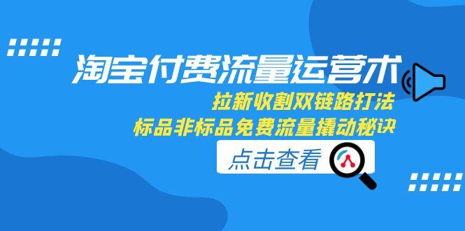 （15135期）淘宝付费流量运营术，拉新收割双链路打法，标品非标品免费流量撬动秘诀-低成本创业项目大全｜短视频带货+AI副业变现｜知行创业网