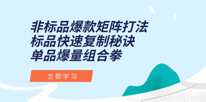 （15068期）非标品爆款矩阵打法，标品快速复制秘诀，单品爆量组合拳-低成本创业项目大全｜短视频带货+AI副业变现｜知行创业网
