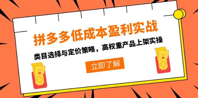 （15143期）拼多多低成本盈利实战，类目选择与定价策略，高权重产品上架实操-低成本创业项目大全｜短视频带货+AI副业变现｜知行创业网