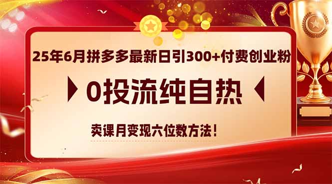 （14989期）25年6月拼多多最新日引300+付费创业粉，0投流纯自热 卖课月变现六位数方法-低成本创业项目大全｜短视频带货+AI副业变现｜知行创业网