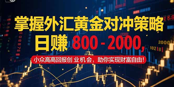 （15198期）掌握外汇黄金对冲策略，日赚 800 – 2000，小众高回报创业机会，助你实…-低成本创业项目大全｜短视频带货+AI副业变现｜知行创业网