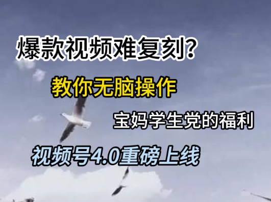 视频号4.0重磅上线，爆款视频难复刻？教你无脑操作宝妈学生党的福利【揭秘】-低成本创业项目大全｜短视频带货+AI副业变现｜知行创业网